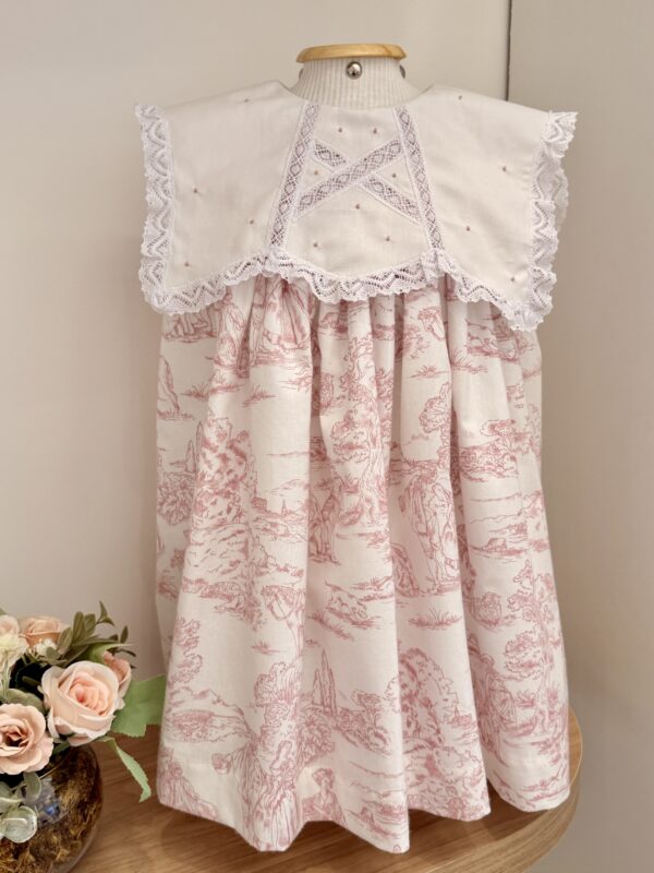IMG_8259 Vestido Mel Toile de Jouy Rosa