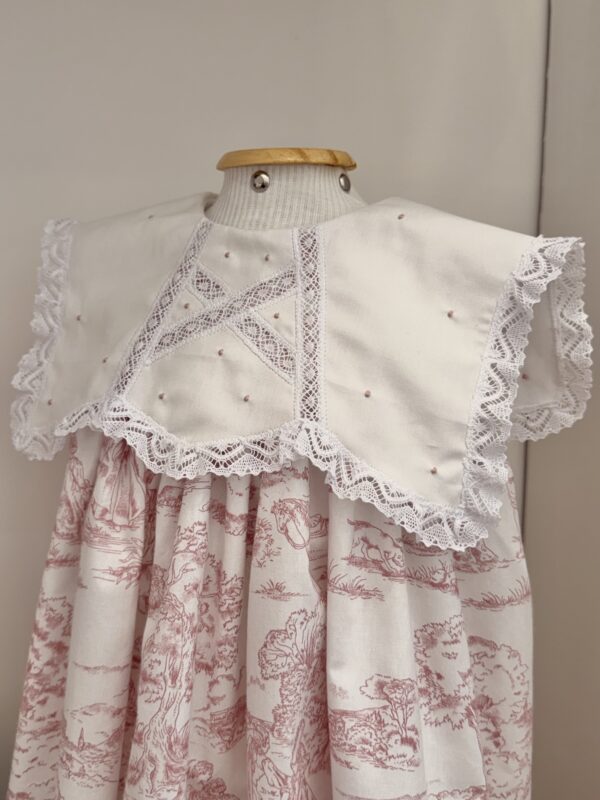 IMG_8260 Vestido Mel Toile de Jouy Rosa
