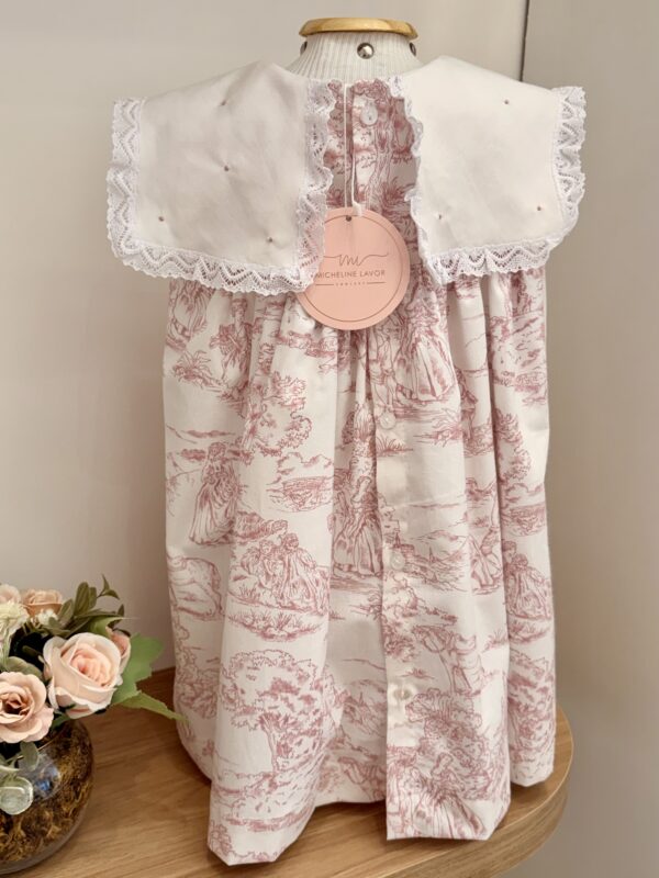 IMG_8261 Vestido Mel Toile de Jouy Rosa