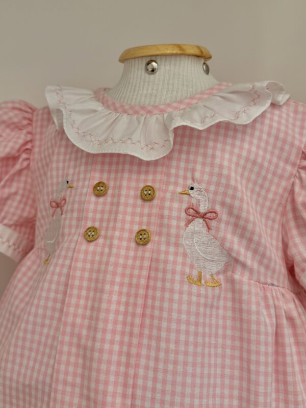 IMG_8263 Vestido Tina